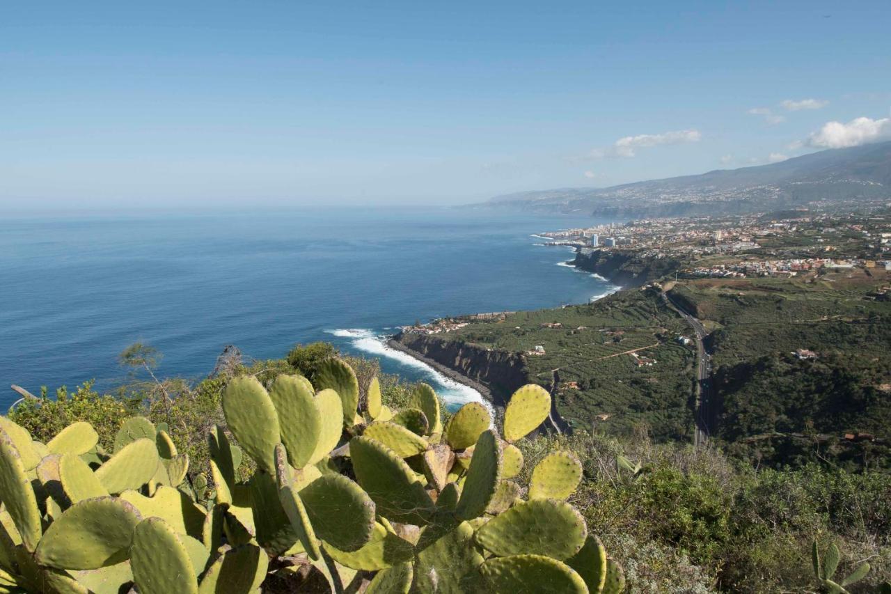 Casas En Finca Ecologica La Espiral, Naturaleza, Calma Y Vistas Al Mar, Icod el Alto 외부 사진