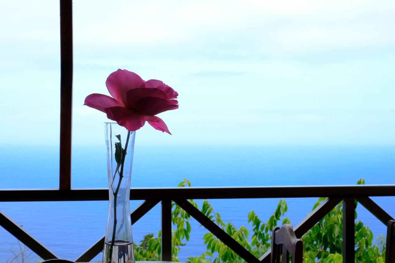 Casas En Finca Ecologica La Espiral, Naturaleza, Calma Y Vistas Al Mar, Icod el Alto 외부 사진